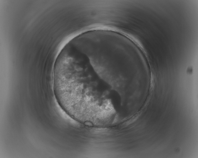 X0000114721247200911181357