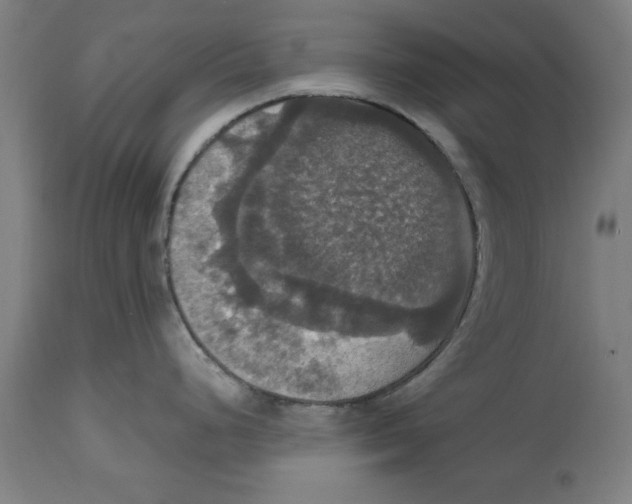 X0000114721248200911181357