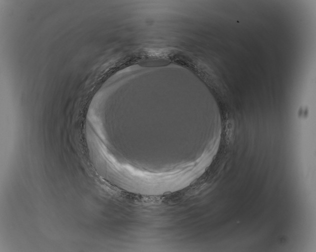 X0000114721249200911181356