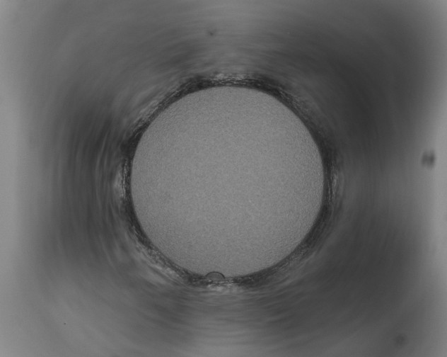 X0000114721250200911181356