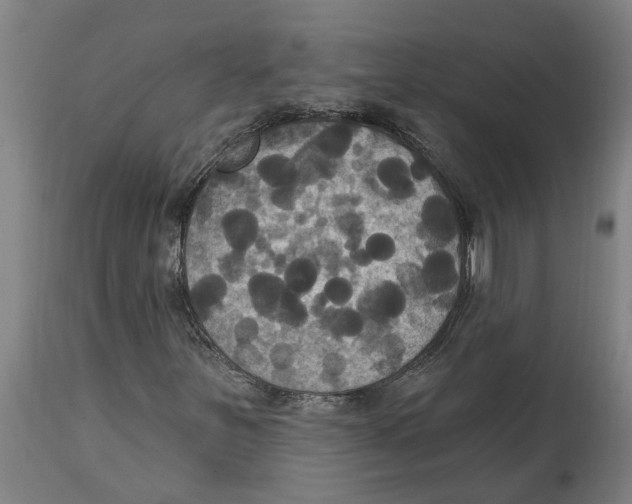 X0000114721251200911181356