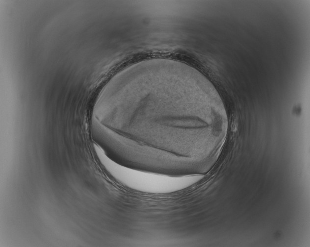 X0000114721252200911181356