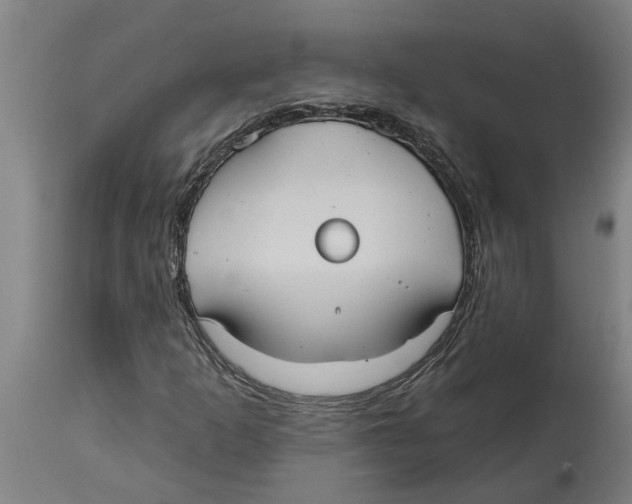 X0000114721253200911181356