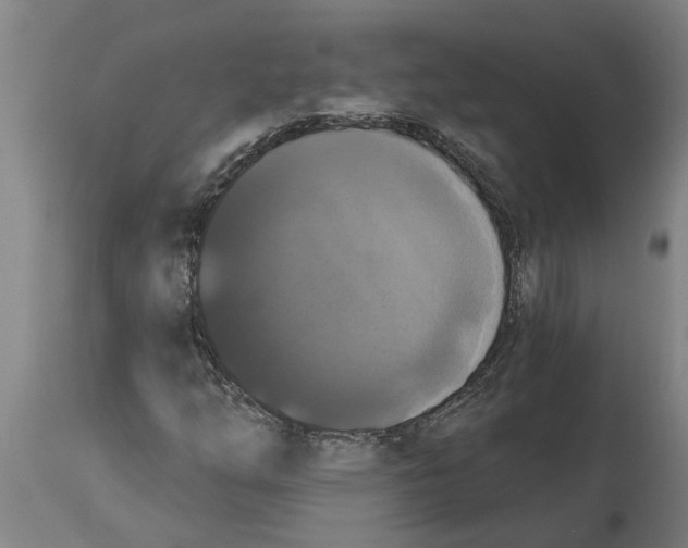 X0000114721254200911181356