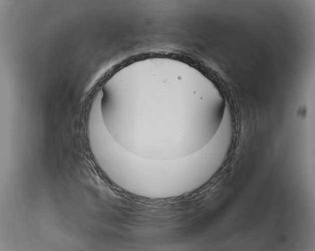 X0000114721256200911181356