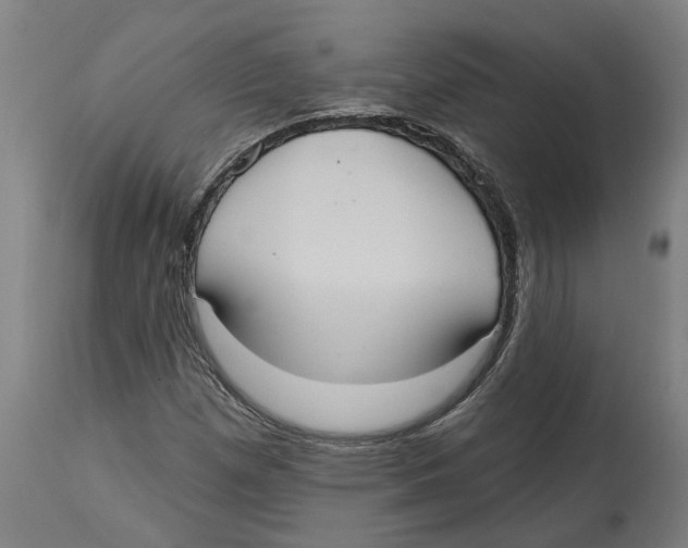 X0000114721257200911181356