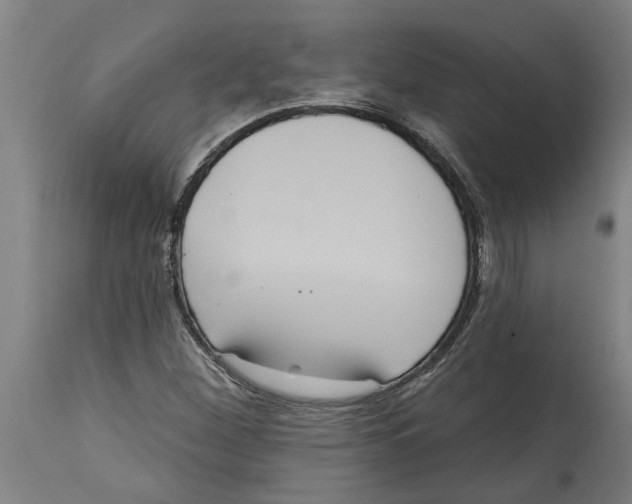 X0000114721260200911181356