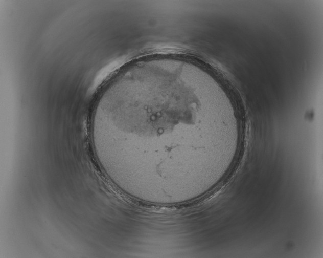 X0000114721261200911181356