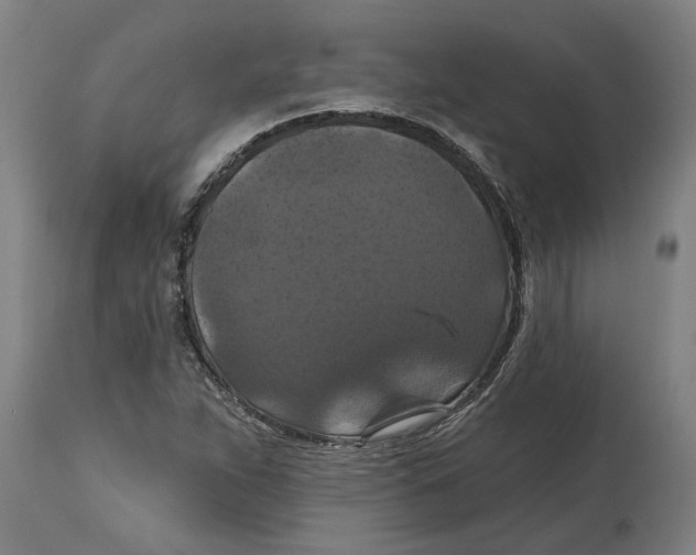 X0000114721263200911181356