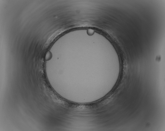 X0000114721265200911181356