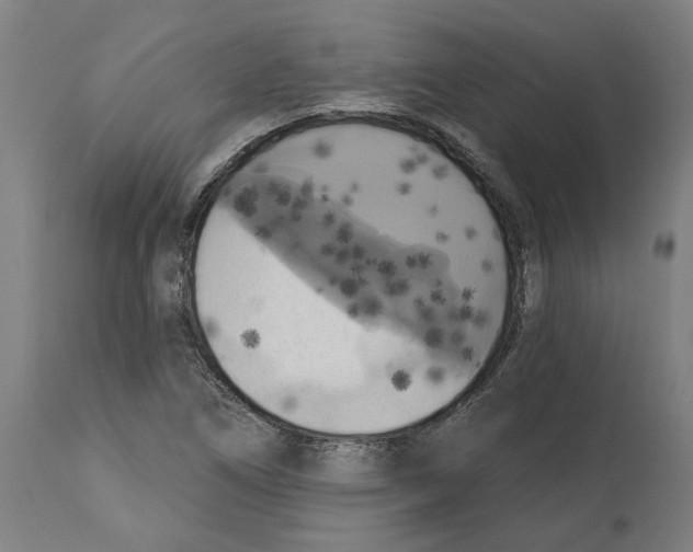 X0000114721266200911181356