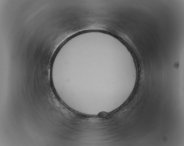 X0000114721268200911181356