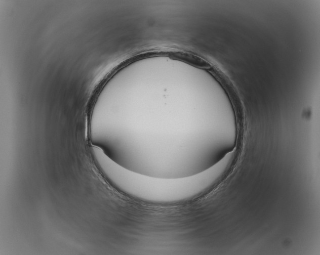 X0000114721269200911181356