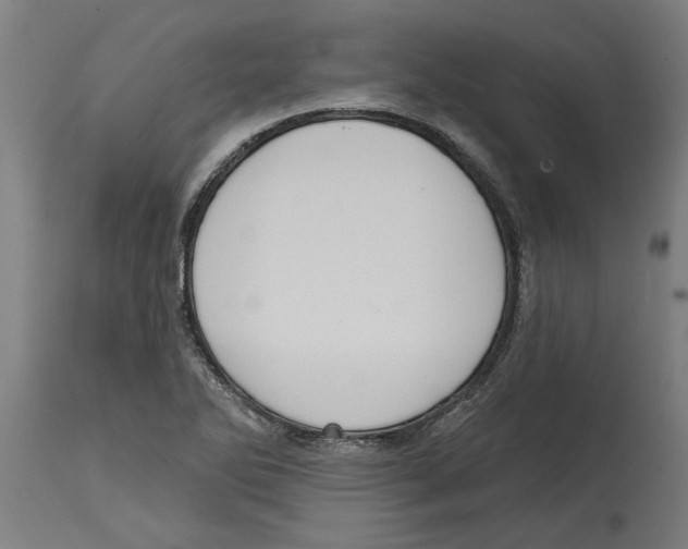 X0000114721270200911181356