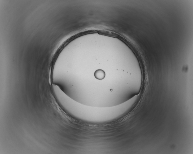 X0000114721272200911181356