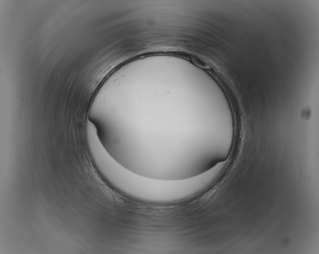 X0000114721273200911181356