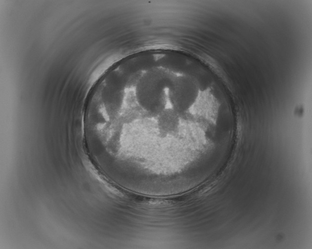 X0000114721274200911181356