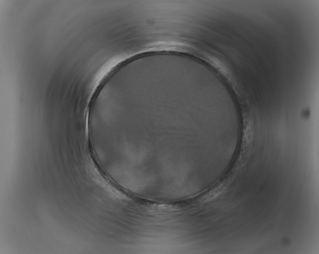 X0000114721275200911181356