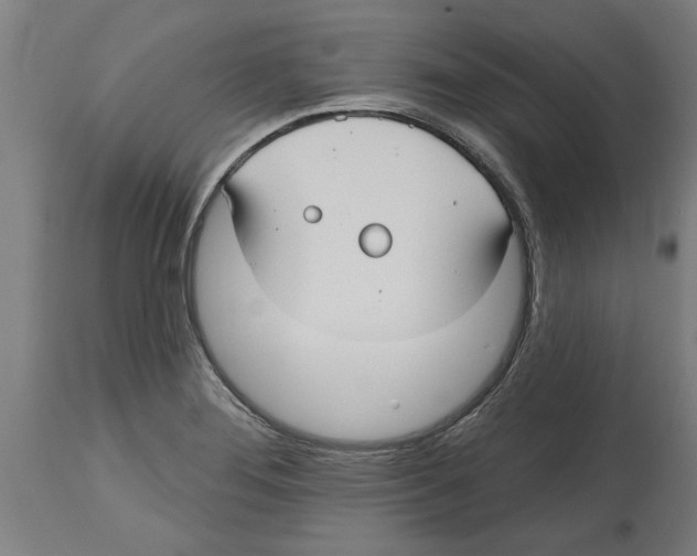 X0000114721276200911181355