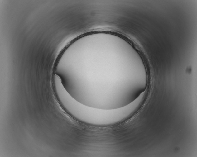 X0000114721277200911181355