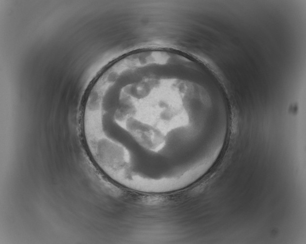 X0000114721278200911181355