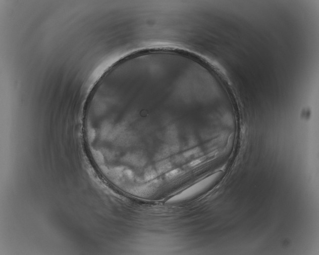 X0000114721279200911181355