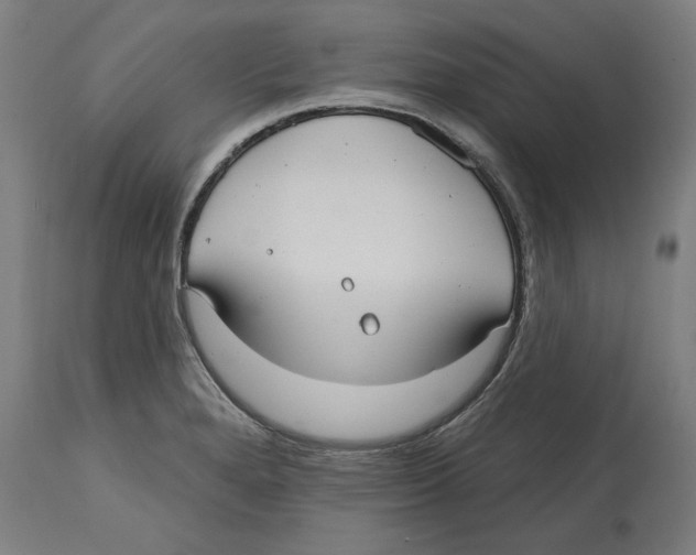 X0000114721280200911181355