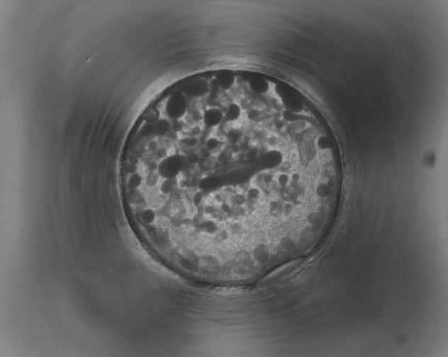 X0000114721283200911181355