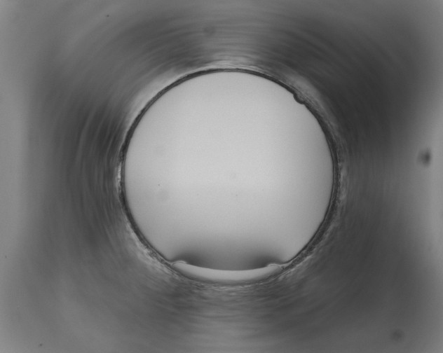 X0000114721284200911181355