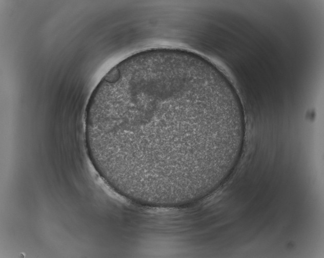 X0000114721287200911181355