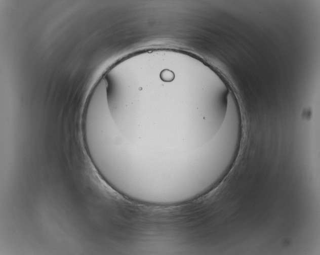 X0000114721288200911181355