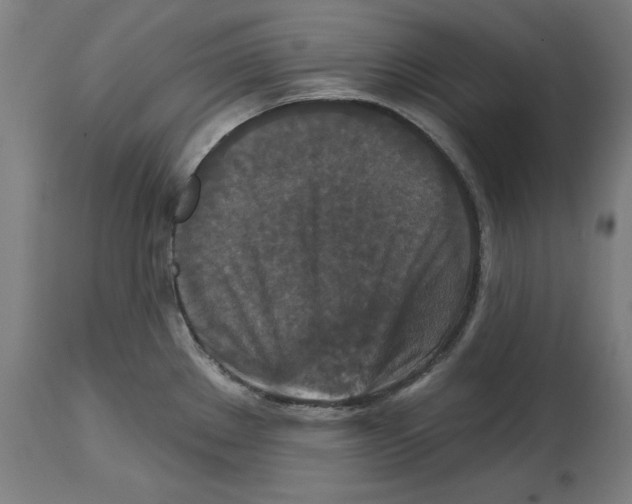 X0000114721289200911181355