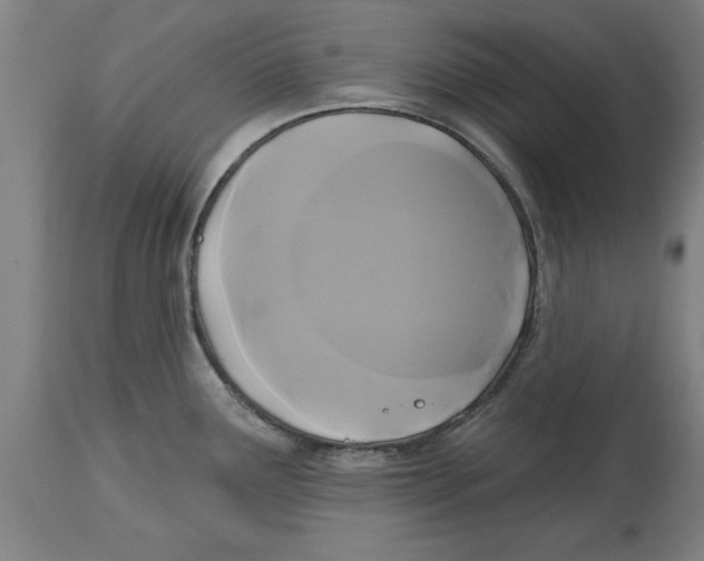 X0000114721291200911181355