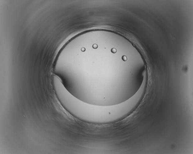 X0000114721292200911181355