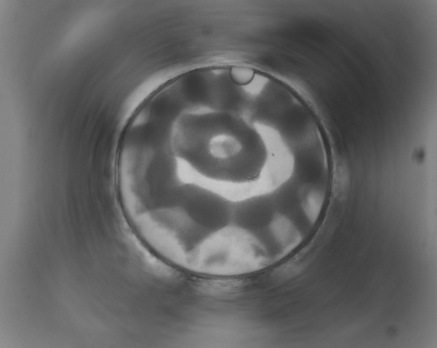 X0000114721294200911181355