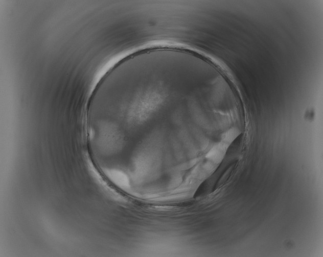 X0000114721295200911181355