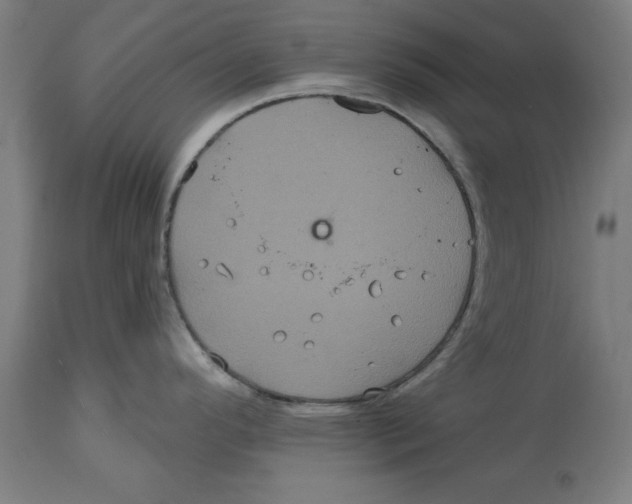 X0000114721296200911181355