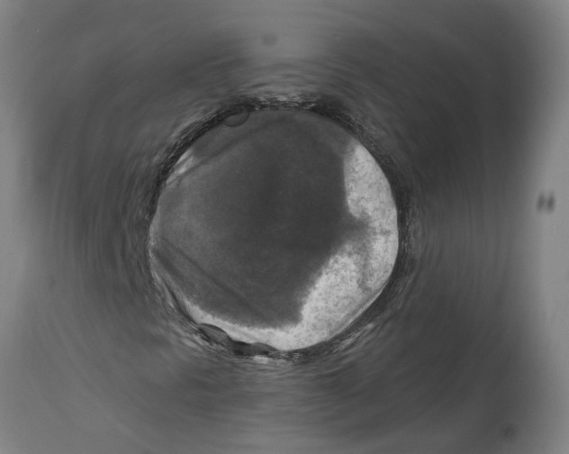 X0000114721297200911181355