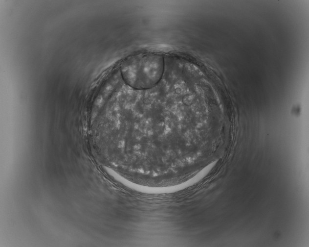 X0000114721301200911181355