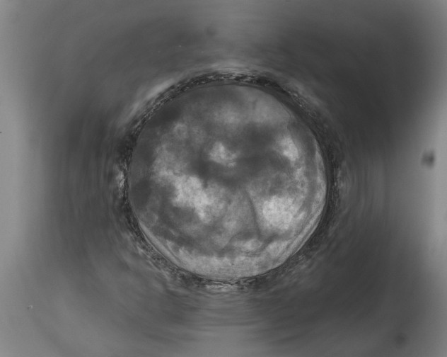 X0000114721302200911181355