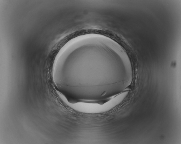 X0000114721303200911181355