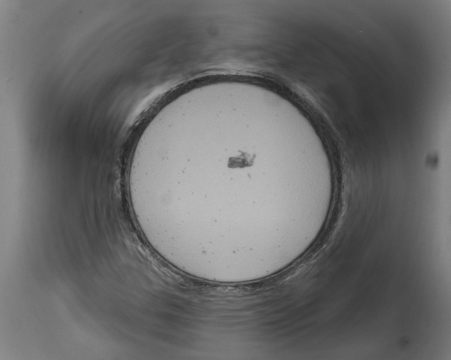 X0000114721307200911181355