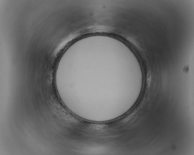 X0000114721309200911181355