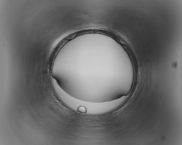 X0000114721310200911181355