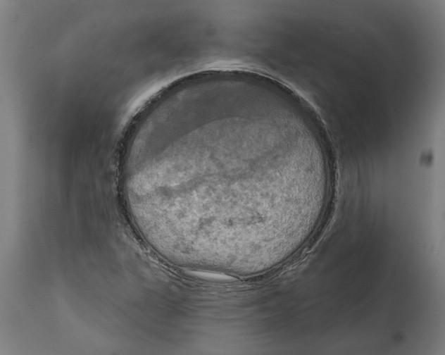 X0000114721311200911181355