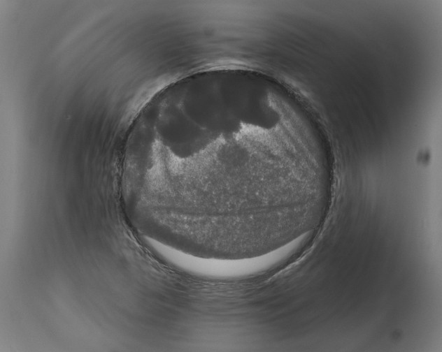 X0000114721313200911181355