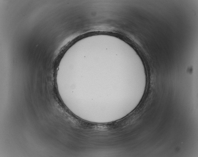 X0000114721315200911181355