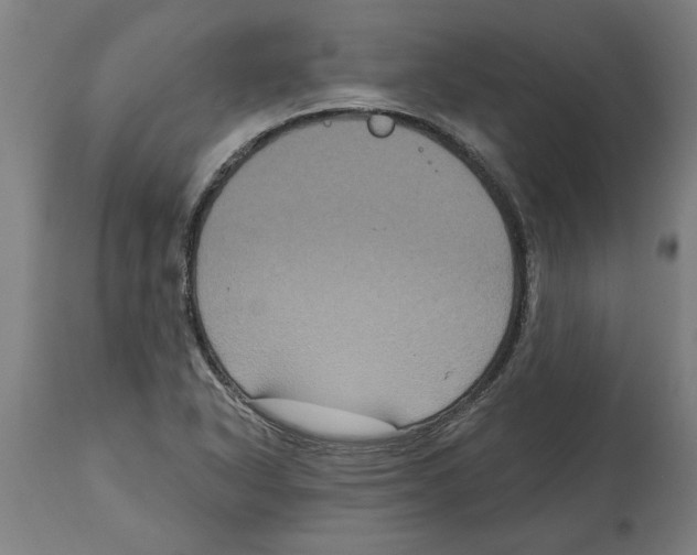 X0000114721318200911181355