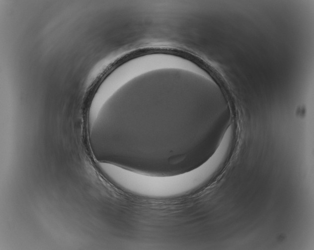 X0000114721319200911181355