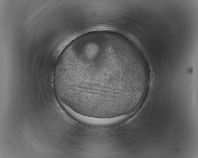 X0000114721321200911181355